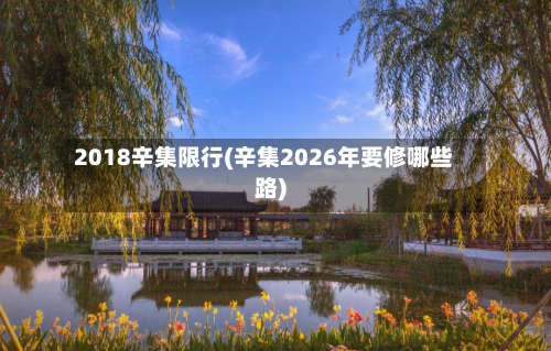 2018辛集限行(辛集2026年要修哪些路)-第2张图片