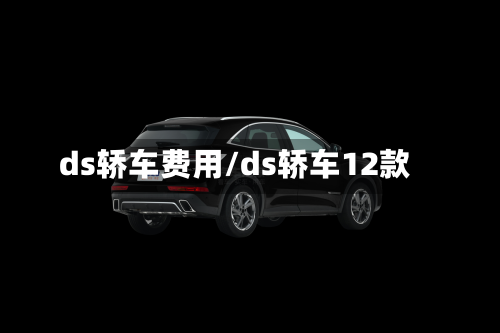 ds轿车费用/ds轿车12款