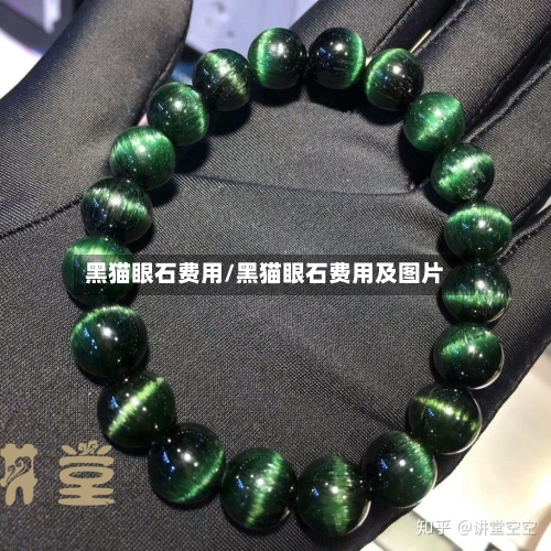黑猫眼石费用/黑猫眼石费用及图片