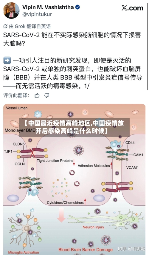 【中国最近疫情高峰地区,中国疫情放开后感染高峰是什么时候】