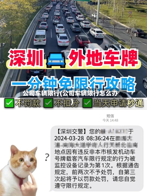 公司车辆限行(公司车辆限行怎么办)-第3张图片