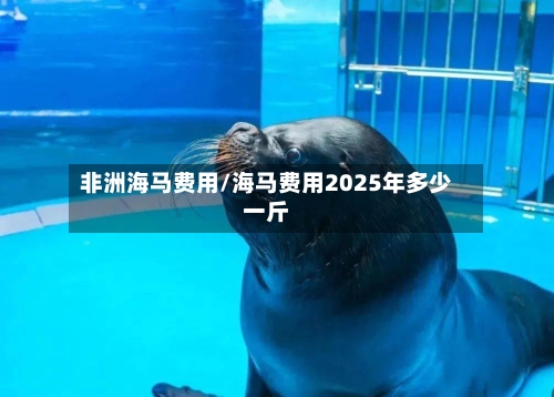 非洲海马费用/海马费用2025年多少一斤