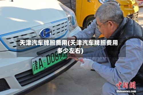天津汽车牌照费用(天津汽车牌照费用多少左右)