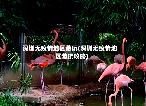 深圳无疫情地区游玩(深圳无疫情地区游玩攻略)