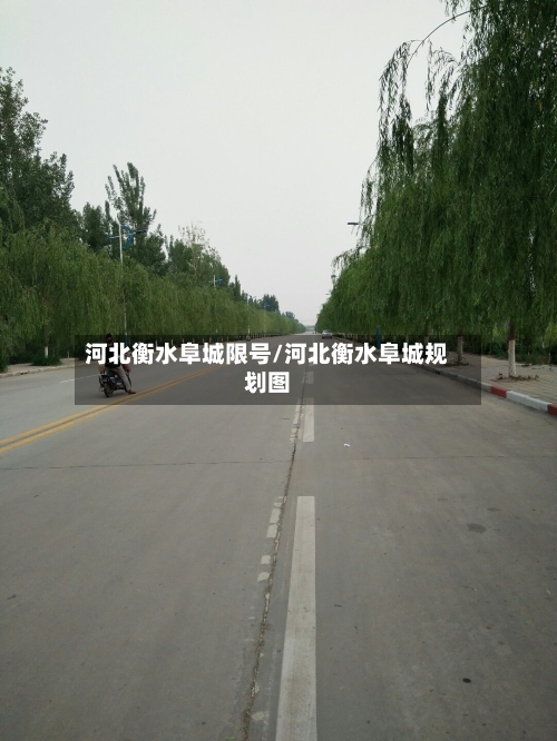河北衡水阜城限号/河北衡水阜城规划图-第2张图片