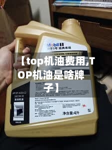 【top机油费用,TOP机油是啥牌子】-第3张图片