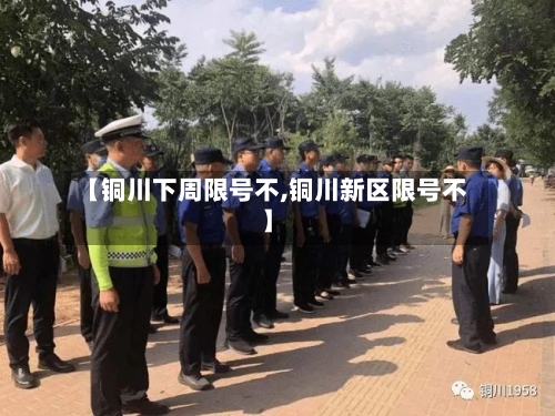 【铜川下周限号不,铜川新区限号不】-第2张图片