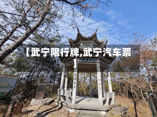 【武宁限行牌,武宁汽车票】