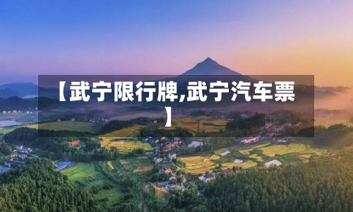 【武宁限行牌,武宁汽车票】-第2张图片