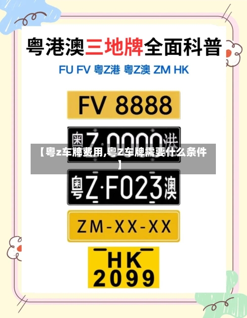 【粤z车牌费用,粤Z车牌需要什么条件】