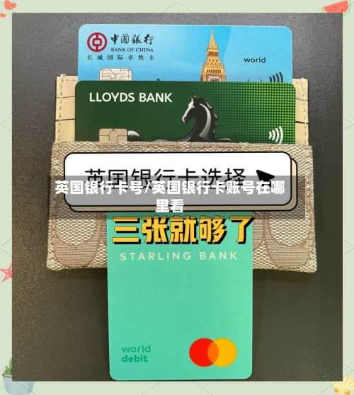 英国银行卡号/英国银行卡账号在哪里看-第3张图片