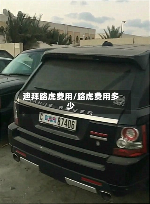 迪拜路虎费用/路虎费用多少