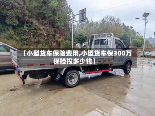 【小型货车保险费用,小型货车保300万保险投多少钱】