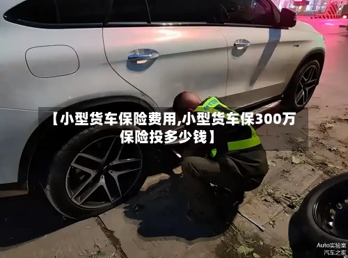 【小型货车保险费用,小型货车保300万保险投多少钱】-第2张图片