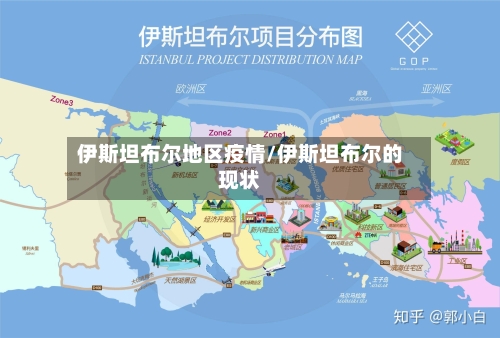 伊斯坦布尔地区疫情/伊斯坦布尔的现状