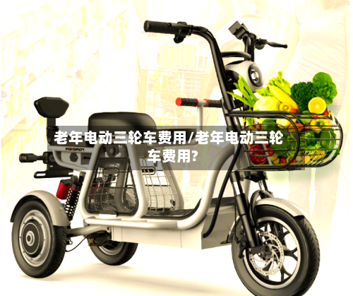 老年电动三轮车费用/老年电动三轮车费用?-第3张图片