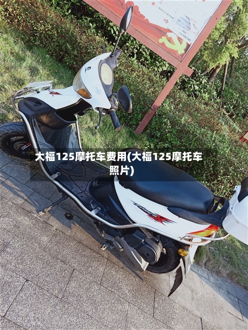 大福125摩托车费用(大福125摩托车照片)-第2张图片