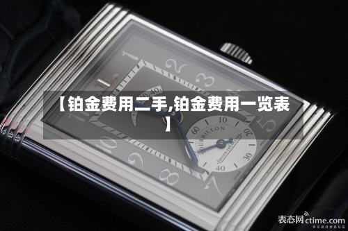 【铂金费用二手,铂金费用一览表】-第2张图片