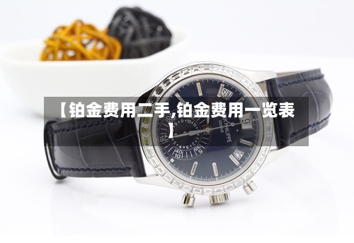 【铂金费用二手,铂金费用一览表】-第3张图片