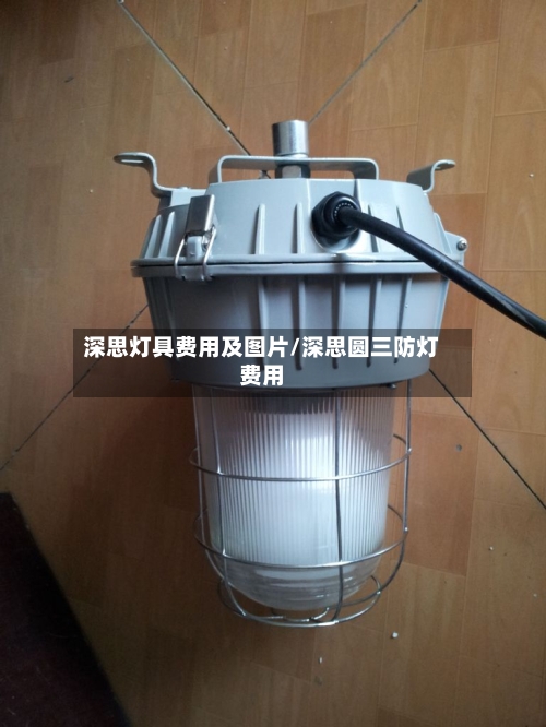 深思灯具费用及图片/深思圆三防灯费用