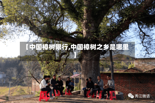 【中国樟树限行,中国樟树之乡是哪里】-第2张图片