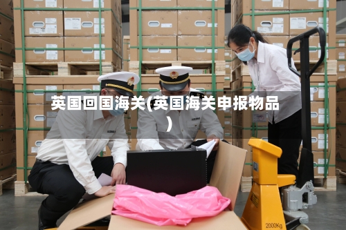 英国回国海关(英国海关申报物品)-第2张图片