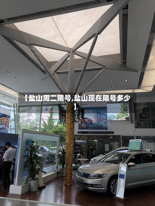 【盐山周二限号,盐山现在限号多少】-第2张图片