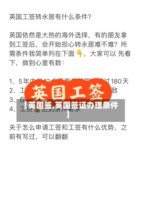 【英国签,英国签证办理条件】-第2张图片