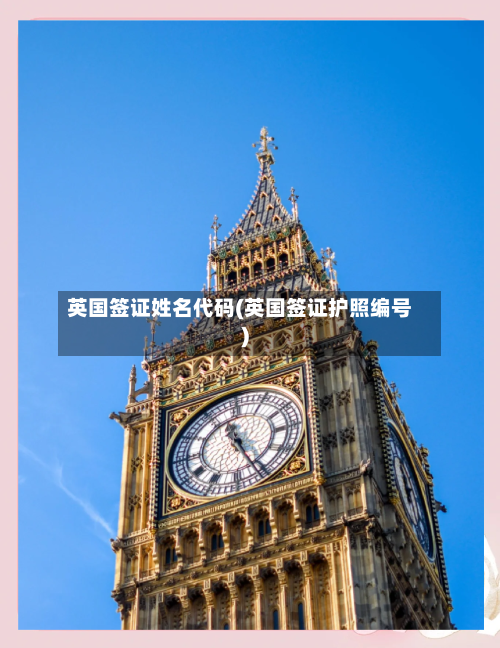 英国签证姓名代码(英国签证护照编号)-第3张图片