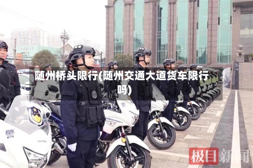 随州桥头限行(随州交通大道货车限行吗)