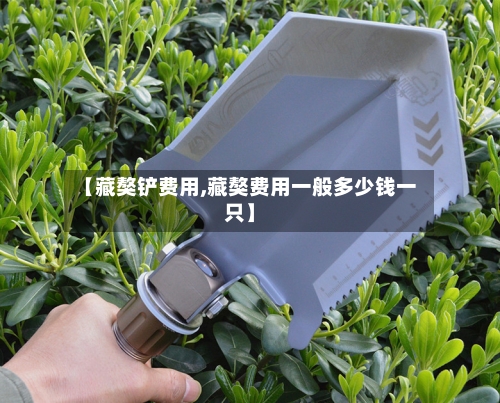 【藏獒铲费用,藏獒费用一般多少钱一只】