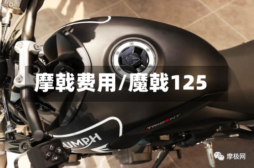 摩戟费用/魔戟125-第3张图片
