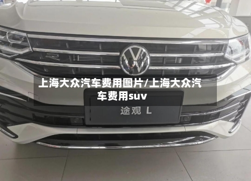 上海大众汽车费用图片/上海大众汽车费用suv