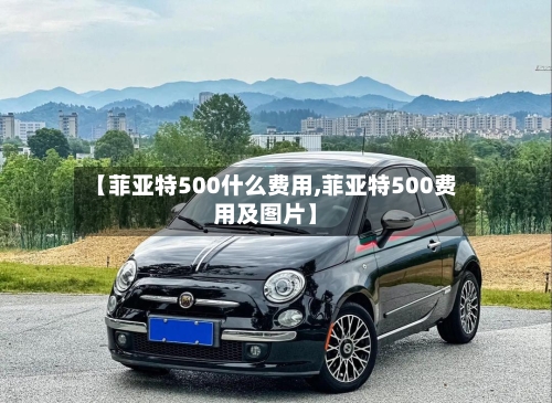 【菲亚特500什么费用,菲亚特500费用及图片】-第2张图片
