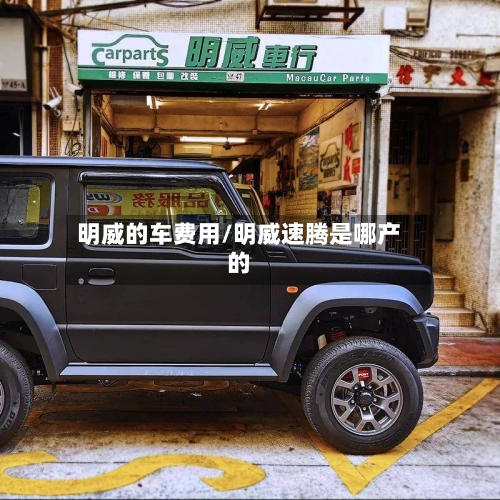 明威的车费用/明威速腾是哪产的-第2张图片