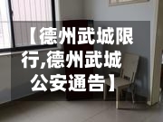 【德州武城限行,德州武城公安通告】-第2张图片