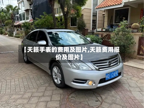 【天籁手表的费用及图片,天籁费用报价及图片】-第2张图片