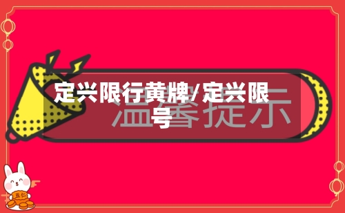 定兴限行黄牌/定兴限号