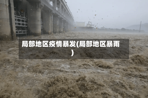 局部地区疫情暴发(局部地区暴雨)