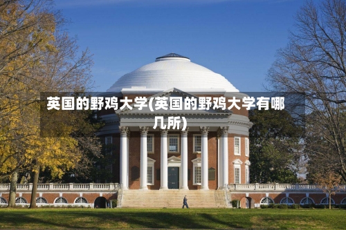 英国的野鸡大学(英国的野鸡大学有哪几所)-第3张图片