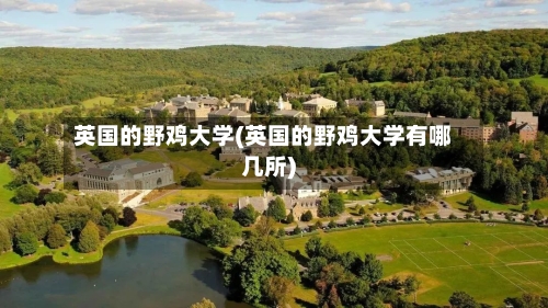 英国的野鸡大学(英国的野鸡大学有哪几所)-第2张图片