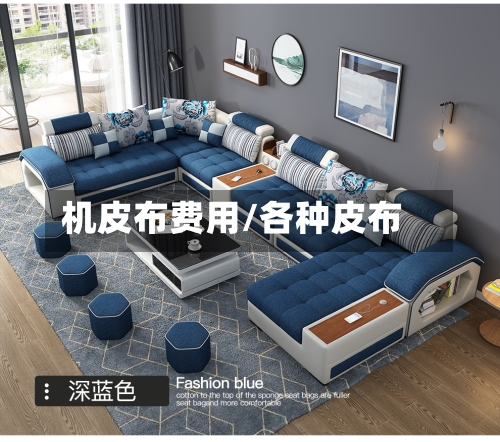 机皮布费用/各种皮布-第3张图片