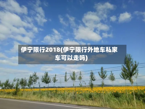 伊宁限行2018(伊宁限行外地车私家车可以走吗)