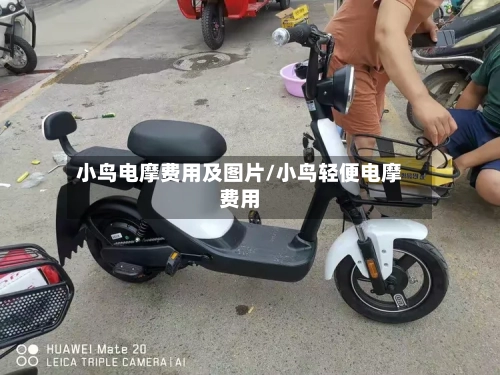 小鸟电摩费用及图片/小鸟轻便电摩费用-第2张图片