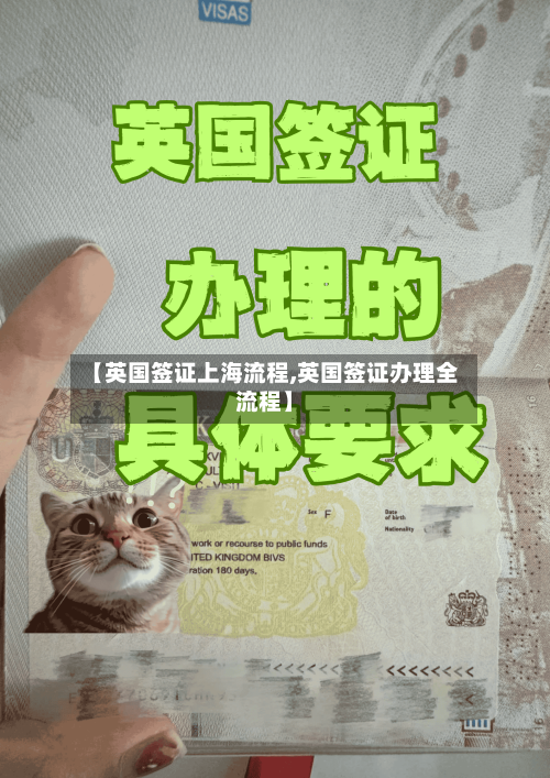 【英国签证上海流程,英国签证办理全流程】-第2张图片