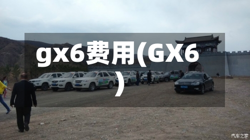 gx6费用(GX6)