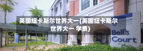 英国纽卡斯尔世界大一(英国纽卡斯尔世界大一 学费)