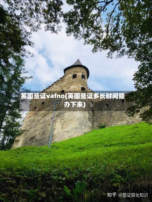 英国签证vafno(英国签证多长时间能办下来)-第3张图片
