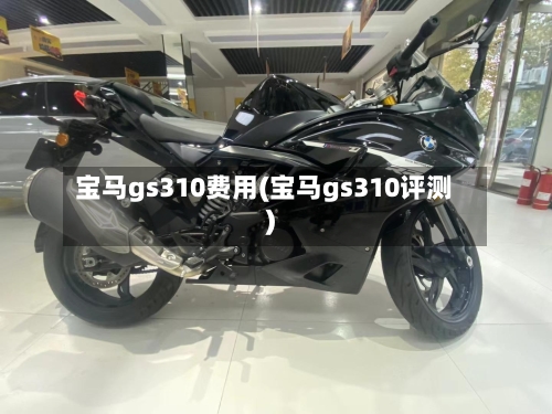 宝马gs310费用(宝马gs310评测)