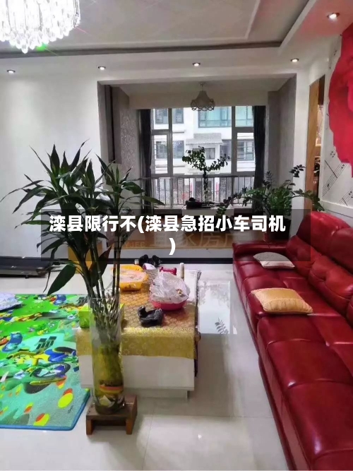 滦县限行不(滦县急招小车司机)-第2张图片